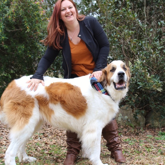 Meet your Posher, Olympya - Picture 2 of 5